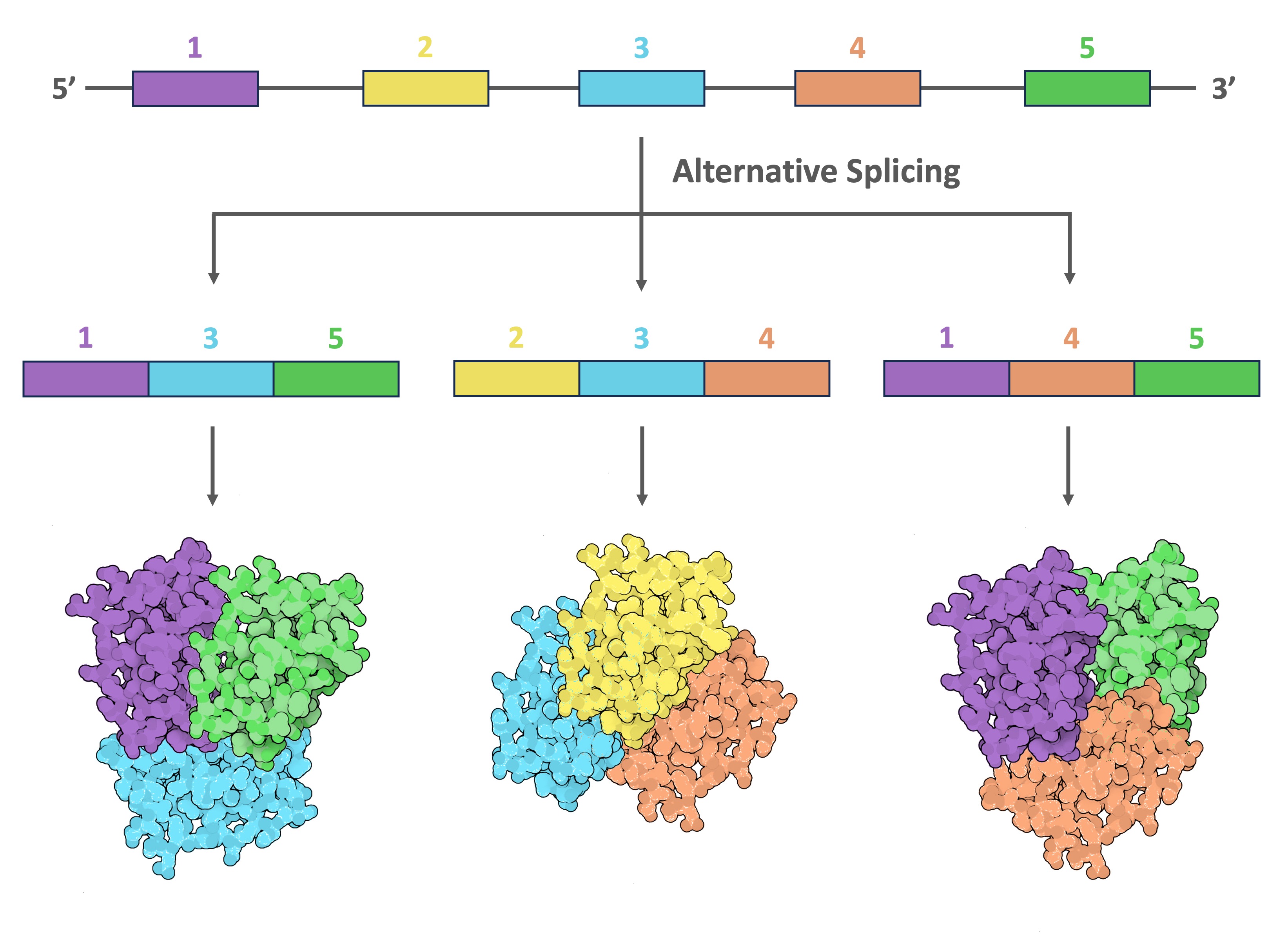 RNA%20processing