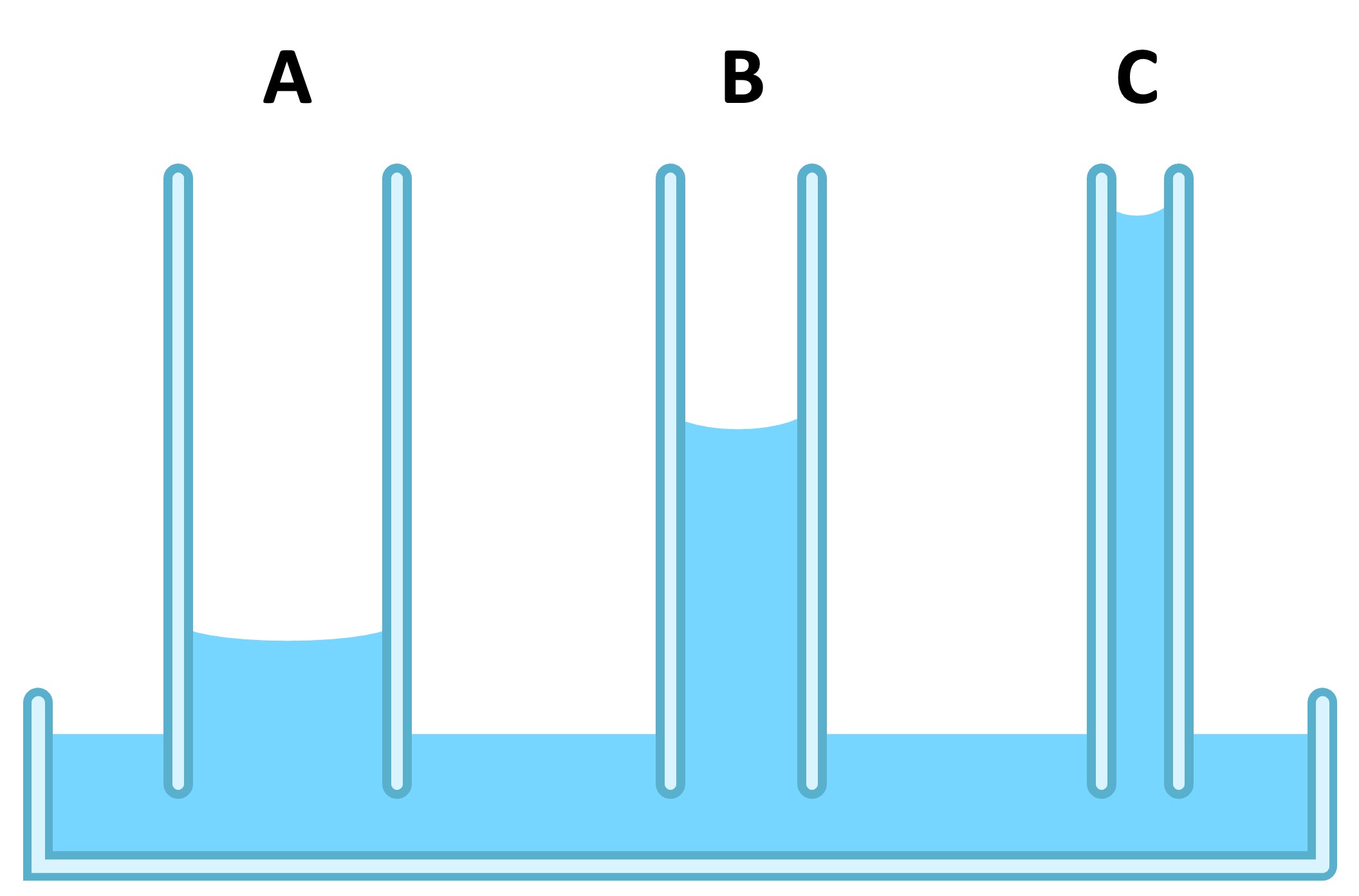 capillary%20A