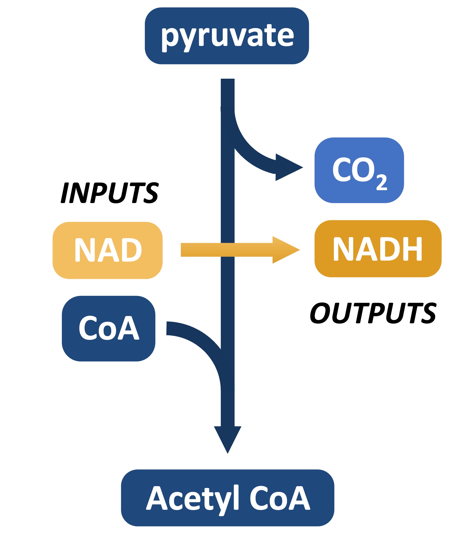 H%20carrier%20mobile
