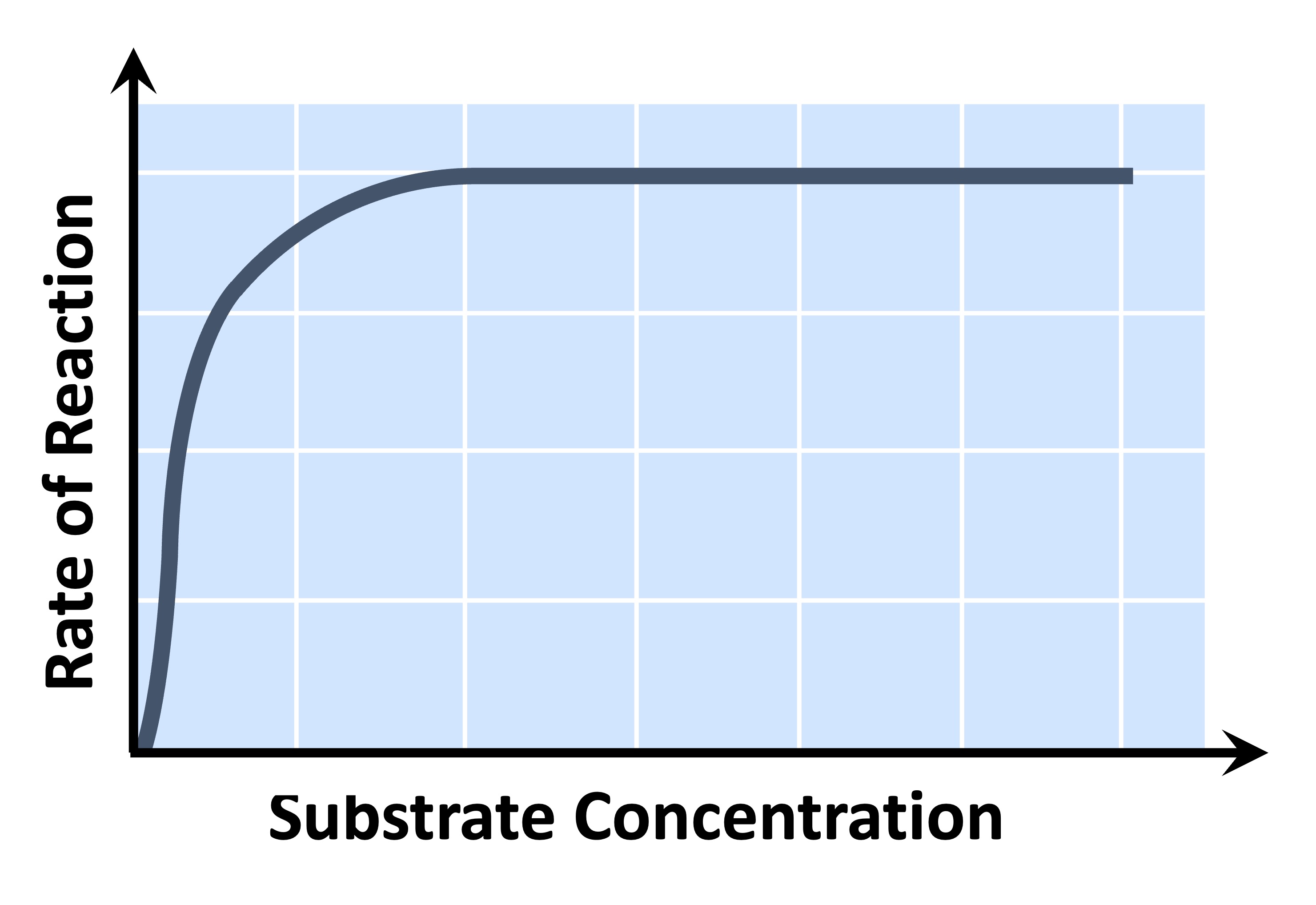 enzyme%20reaction