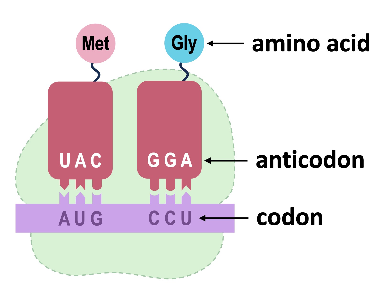 translation%20mobile