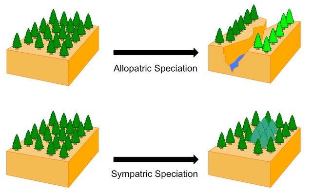 allopatric vs sympatric