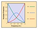 D4 The Hardy-Weinberg Principle