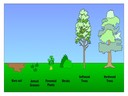 Option G: Ecology and Conservation