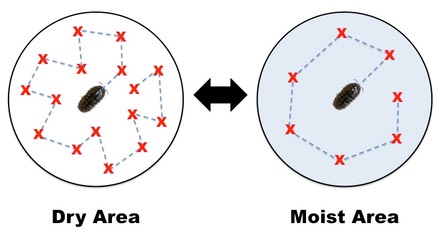 kinesis experiment