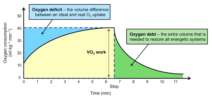 oxygen debt