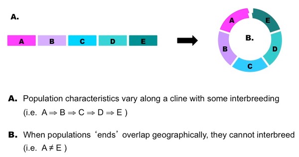 ring species
