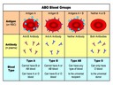 4.3 Theoretical Genetics