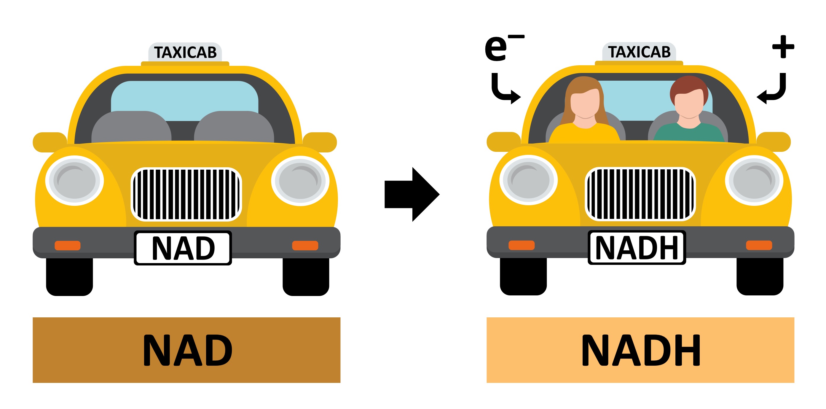 H%20carrier%20mobile