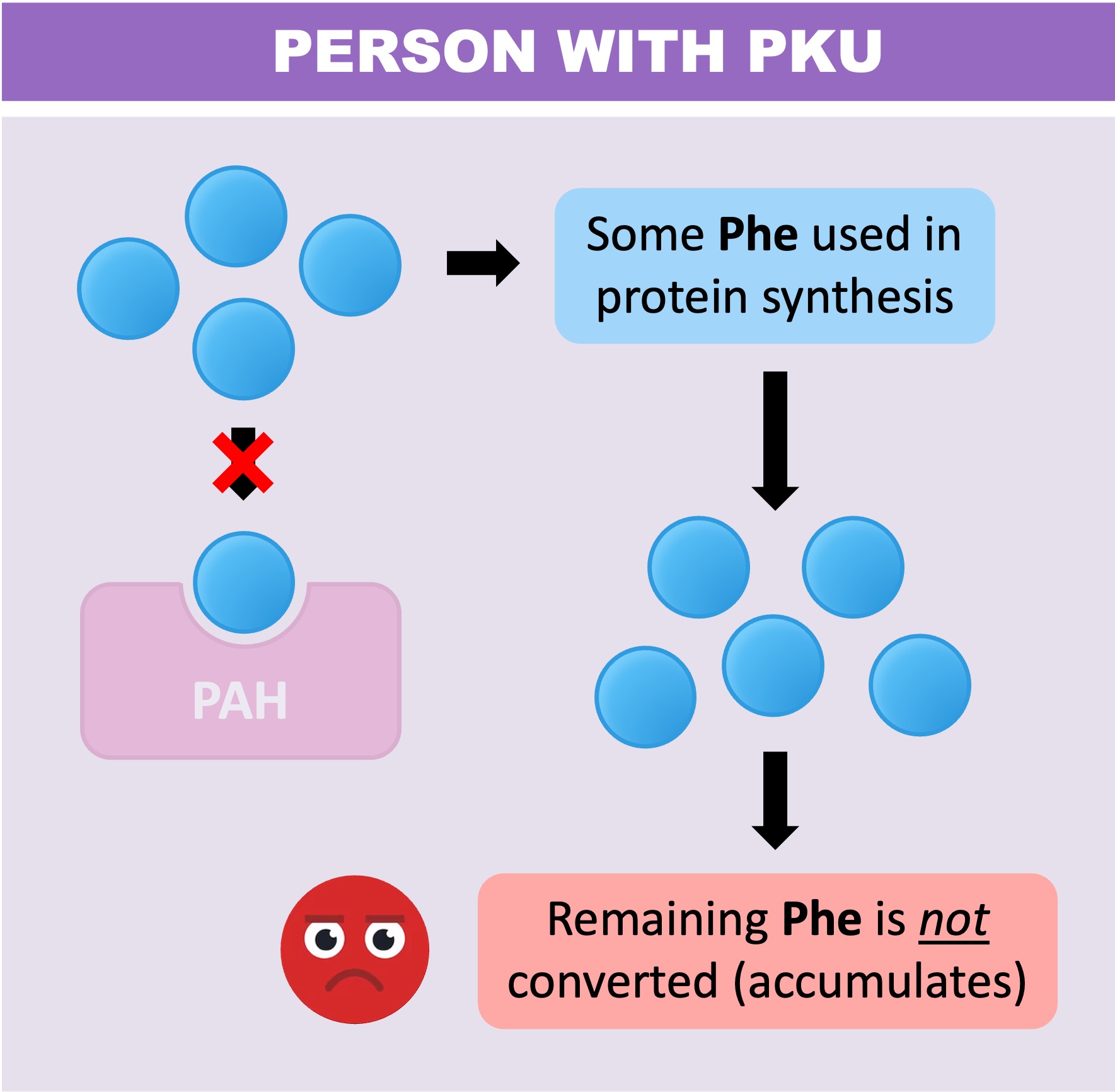 PKU2