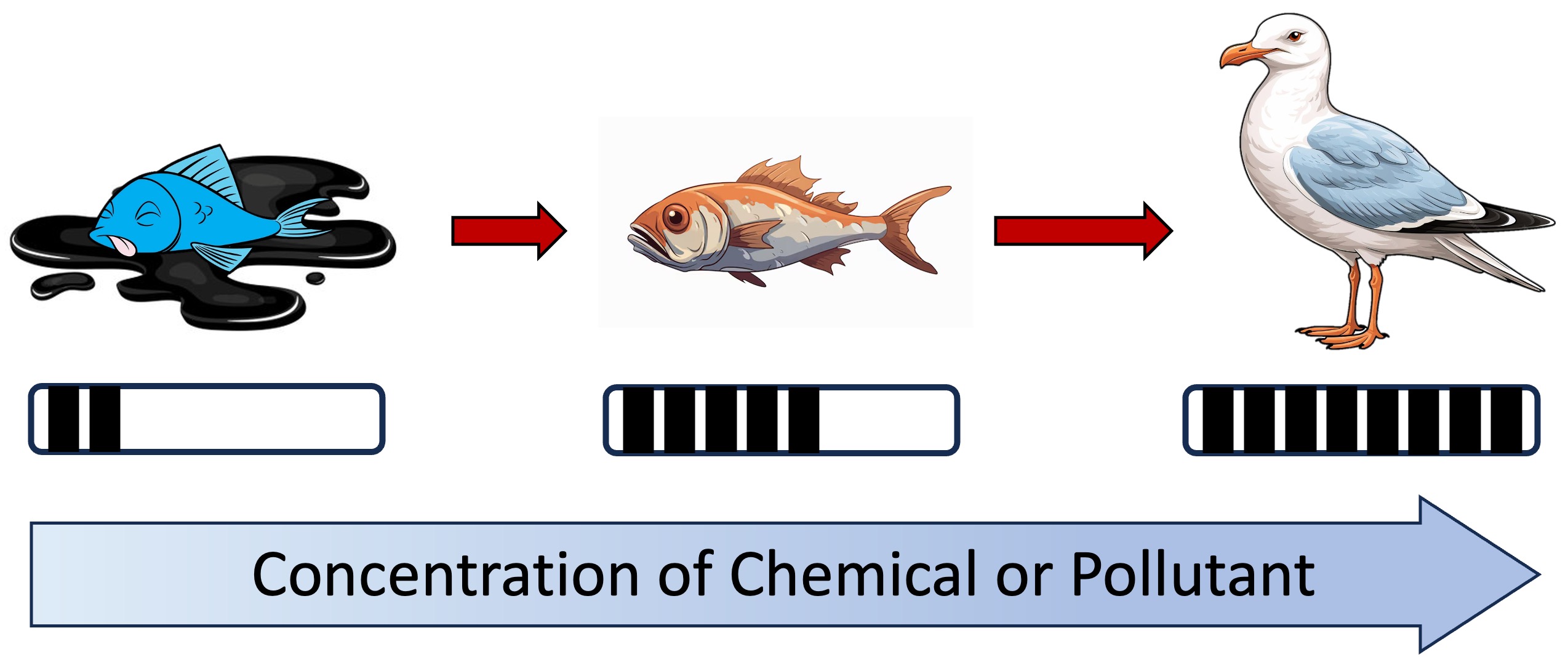 coral%20distribution%20mobile