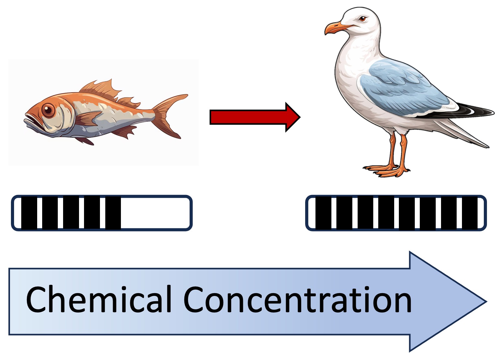 biomagnification%20mobile