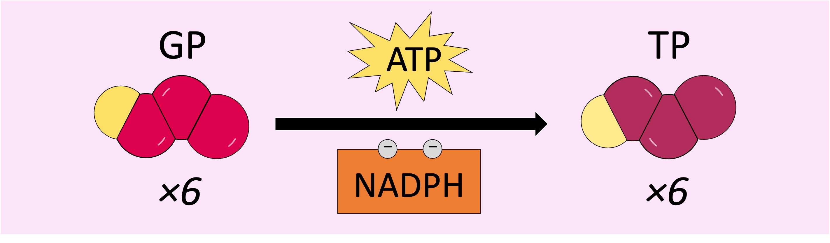 chemiosmosis%20mobile