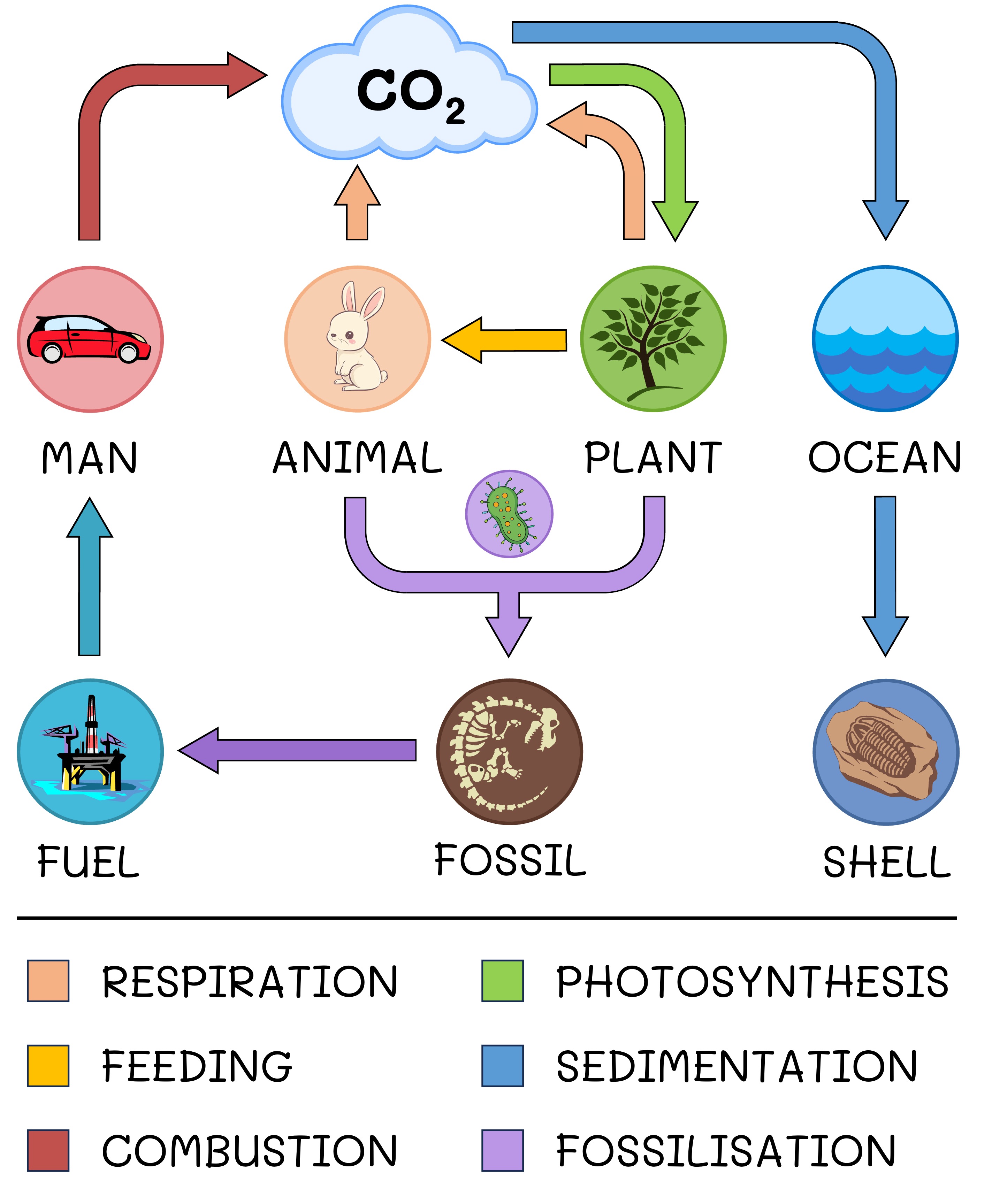 energy%20pyramid%20ipad