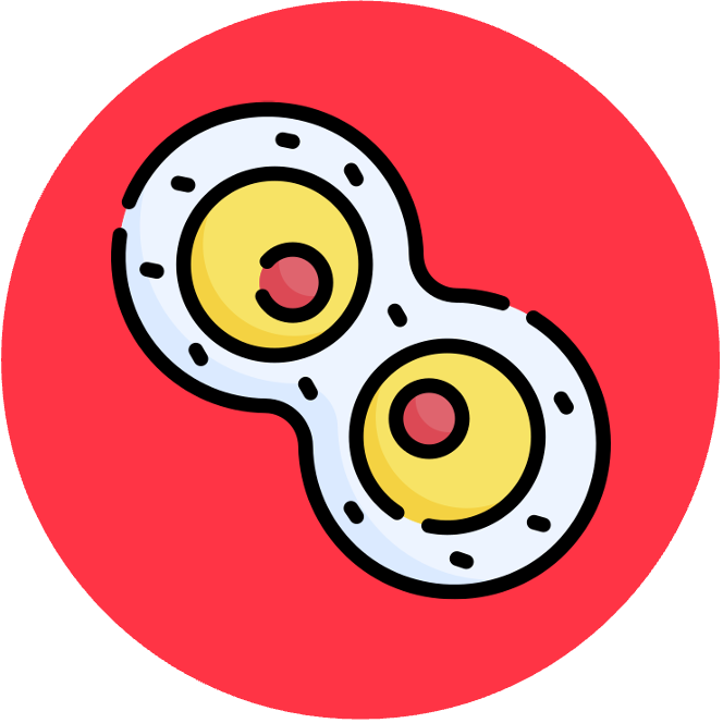 introduction%20to%20cells