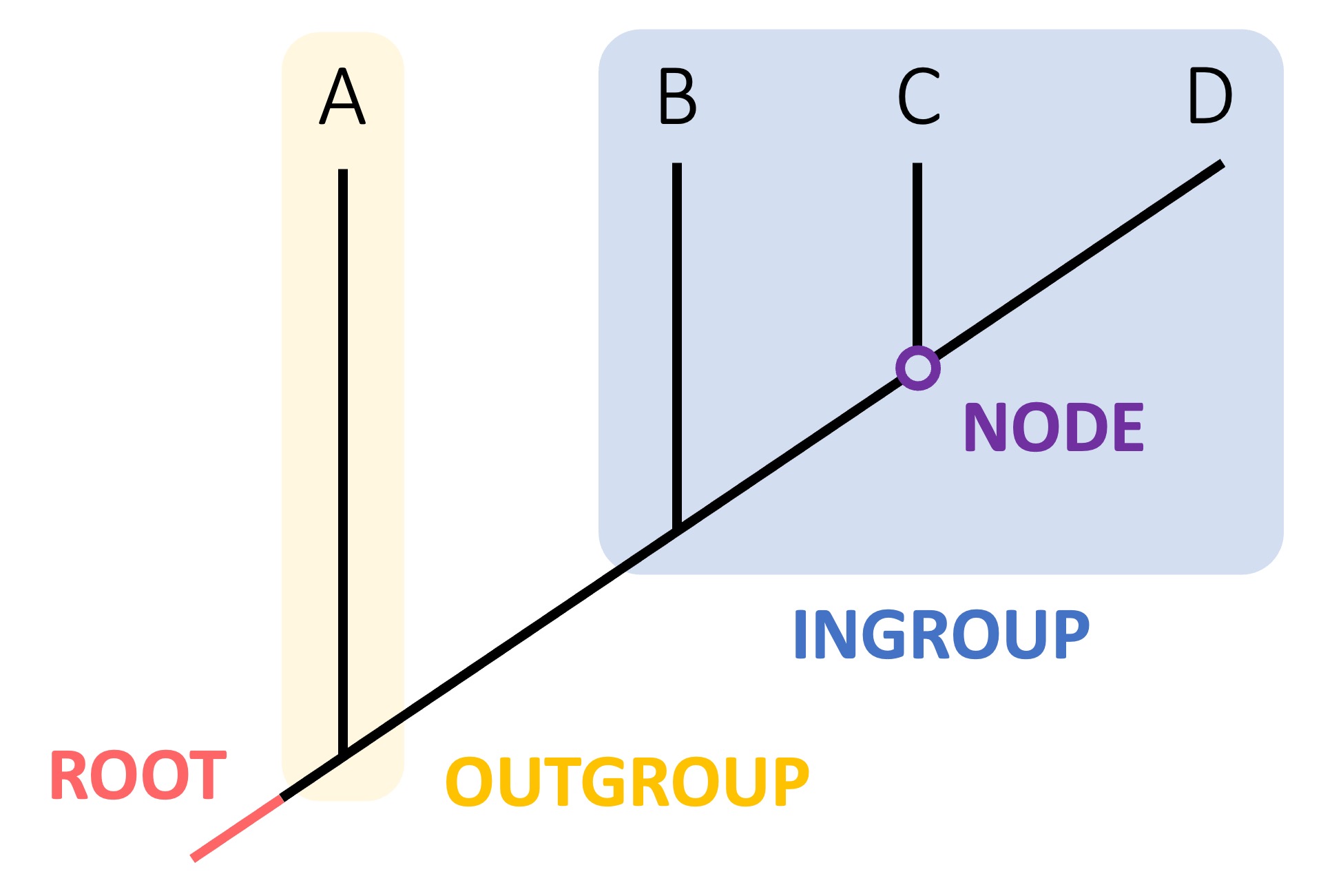species%20diversity1