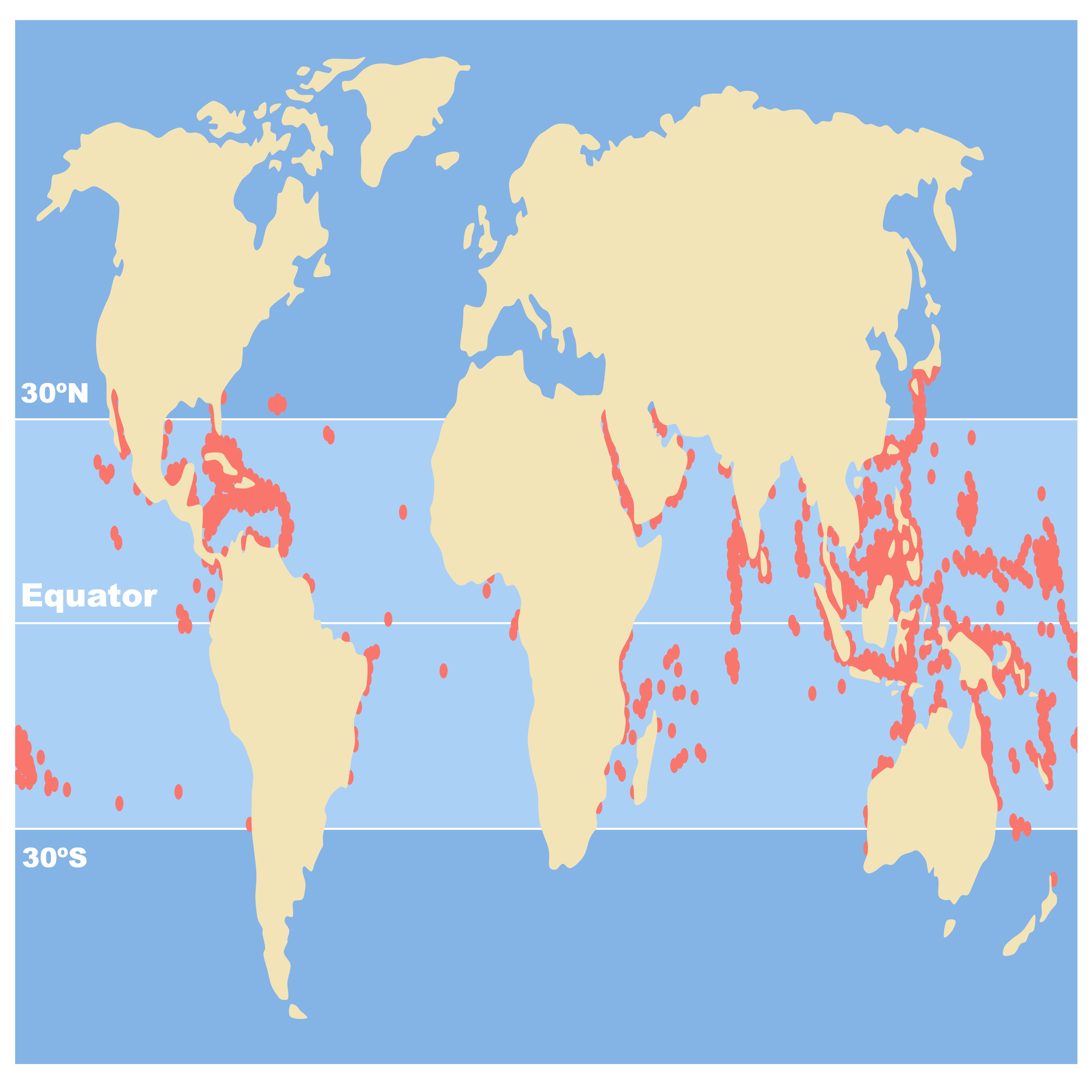 coral%20distribution%20mobile