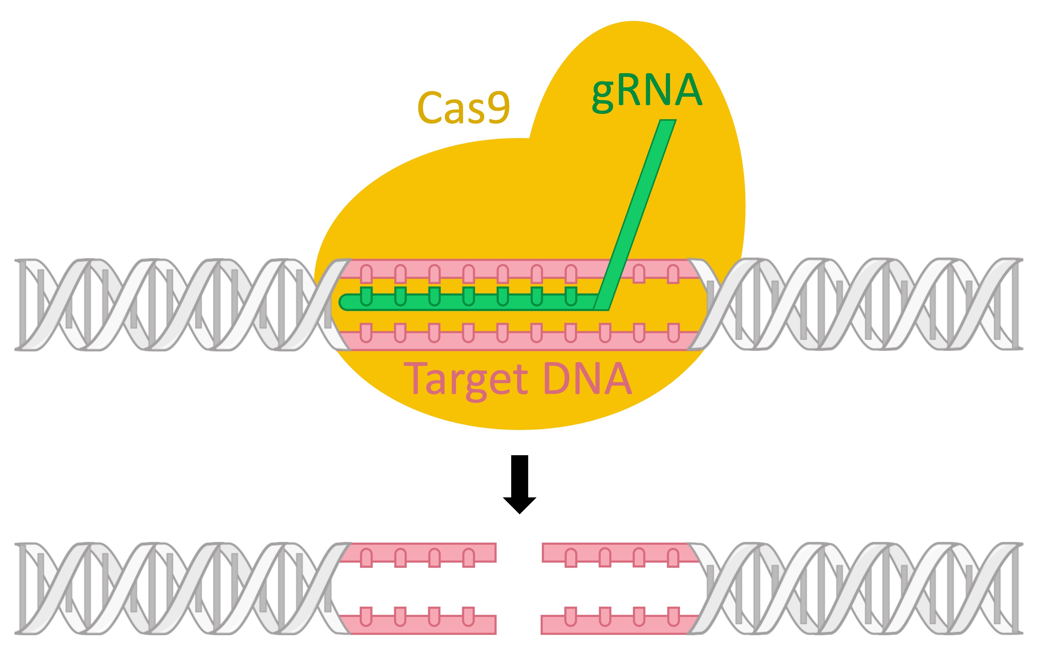 crispr%20mobile