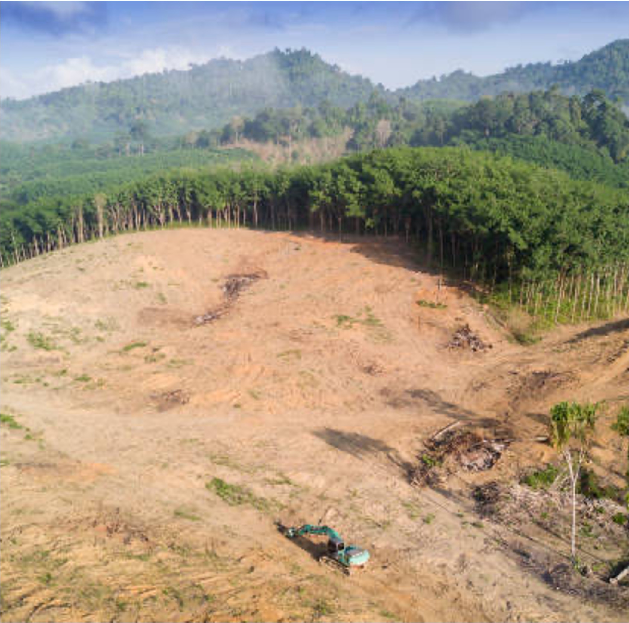 species%20diversity2