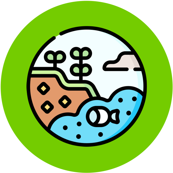 Membrane%20Structure