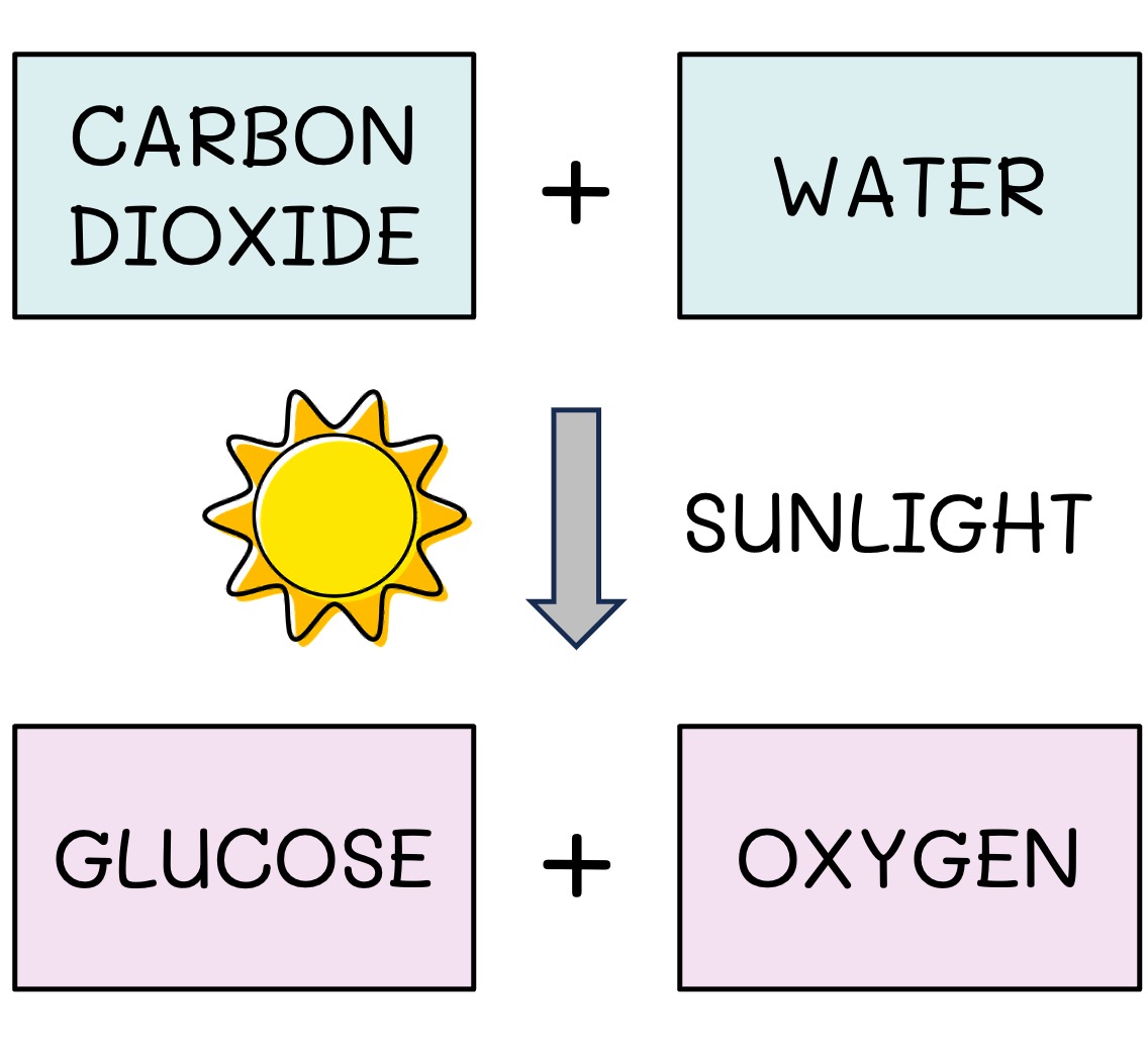 energy%20flow1%20mobile
