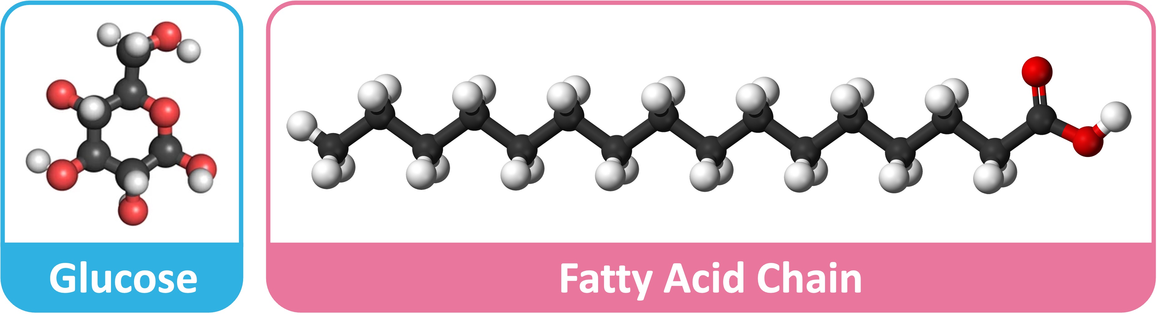 H%20carrier%20mobile