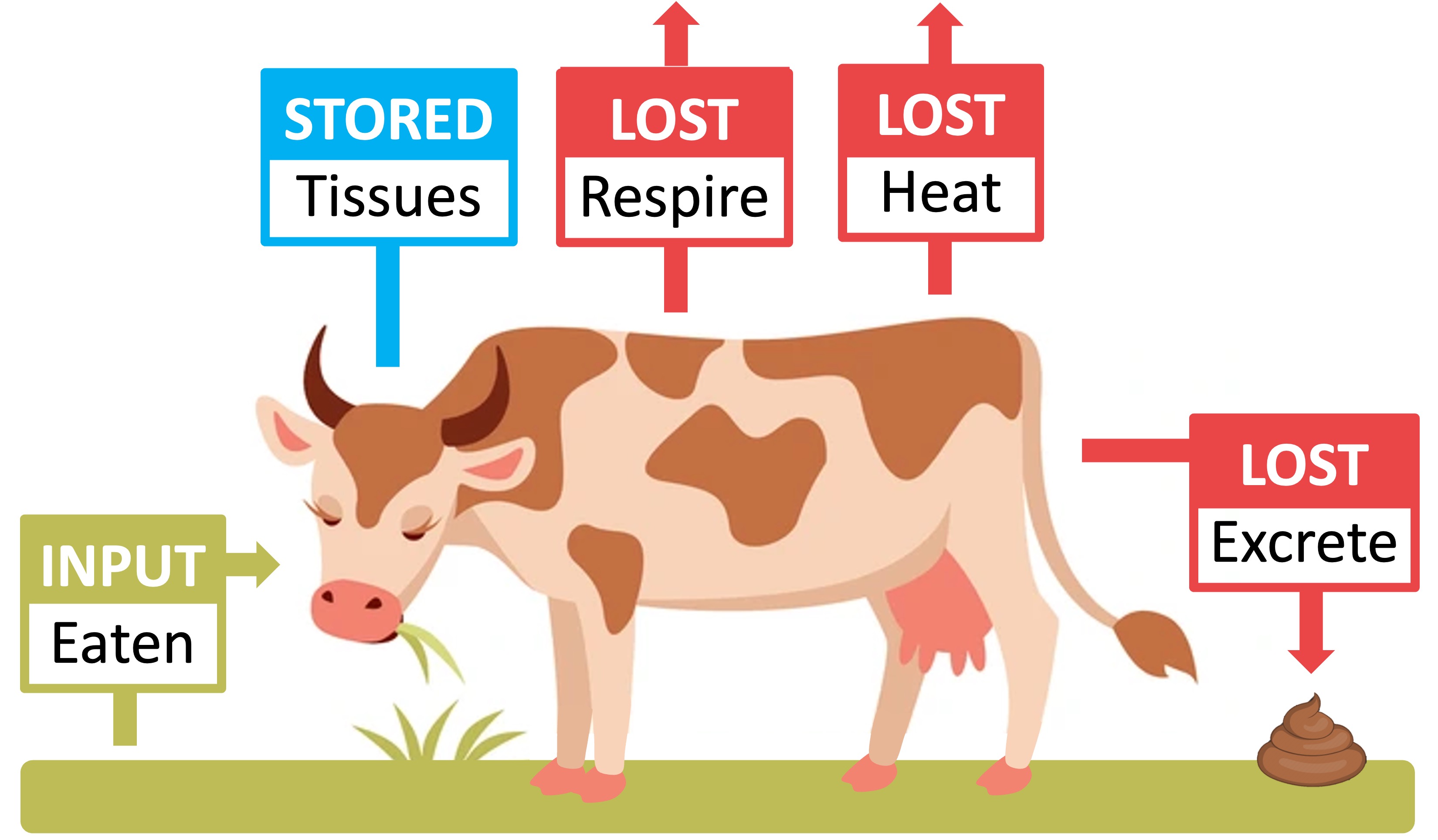 energy%20flow1%20mobile