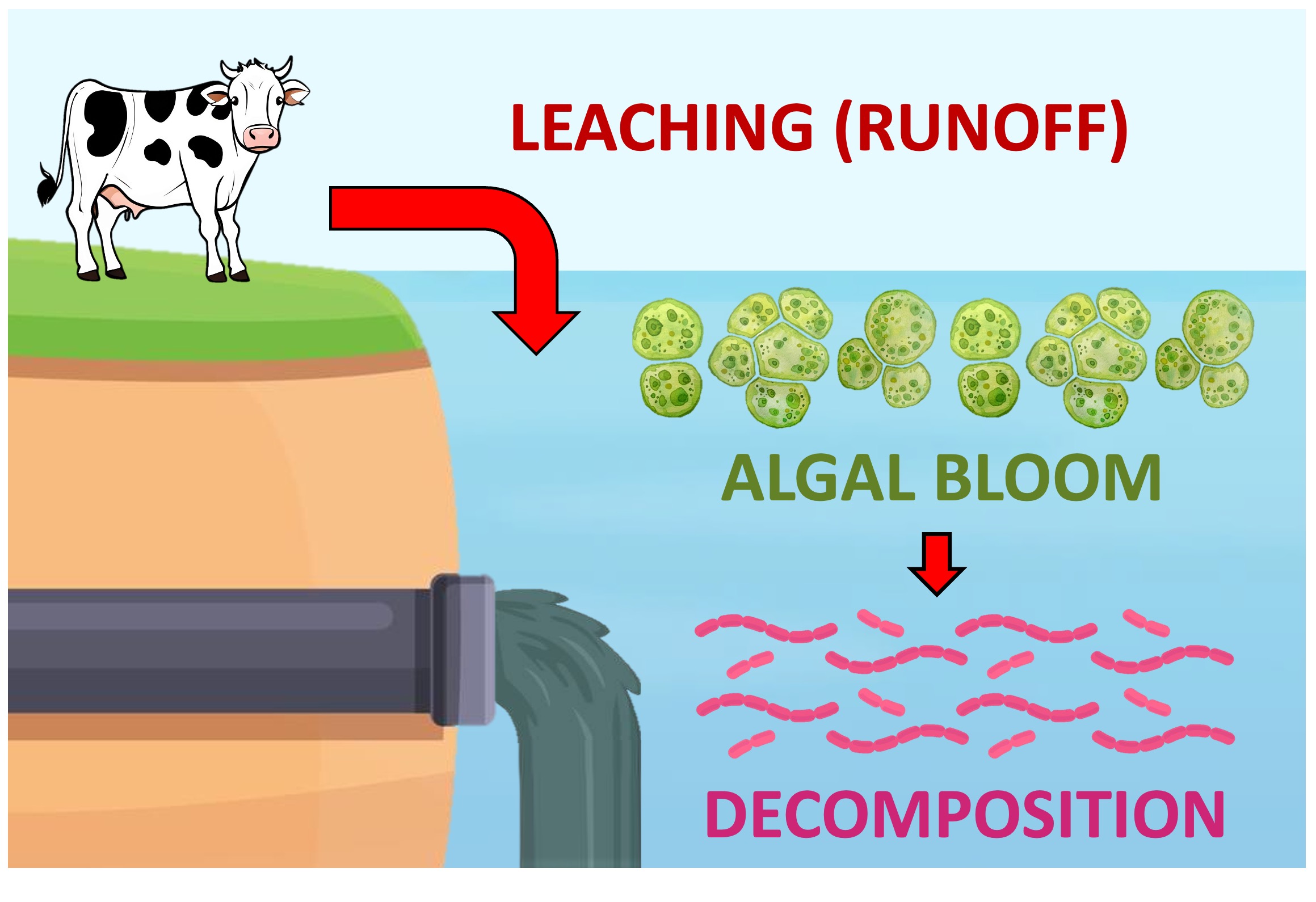 coral%20distribution%20mobile