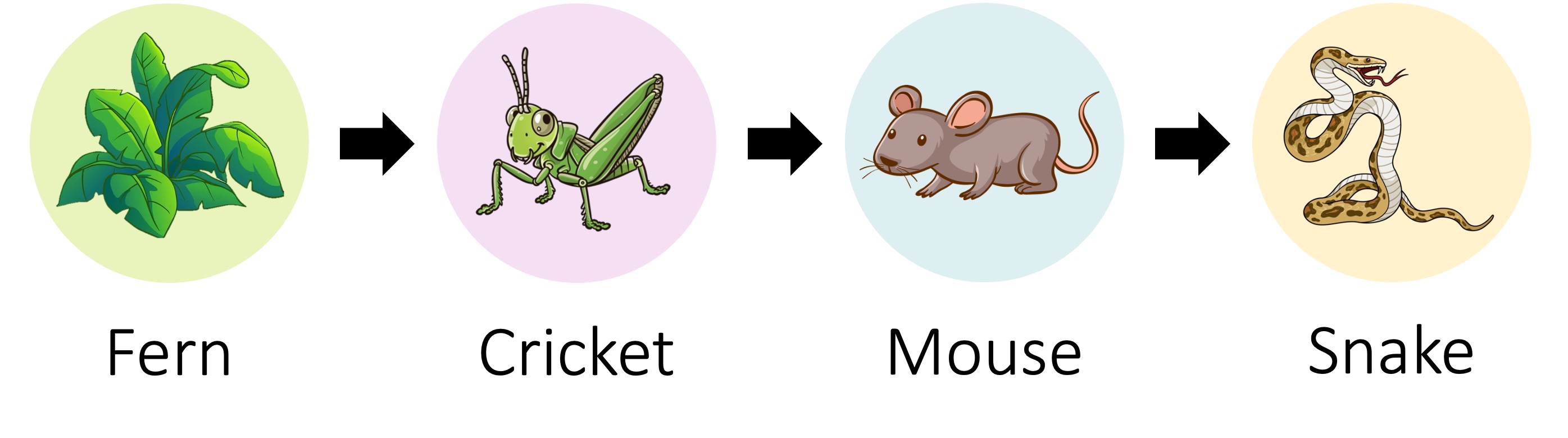 energy%20flow1%20mobile