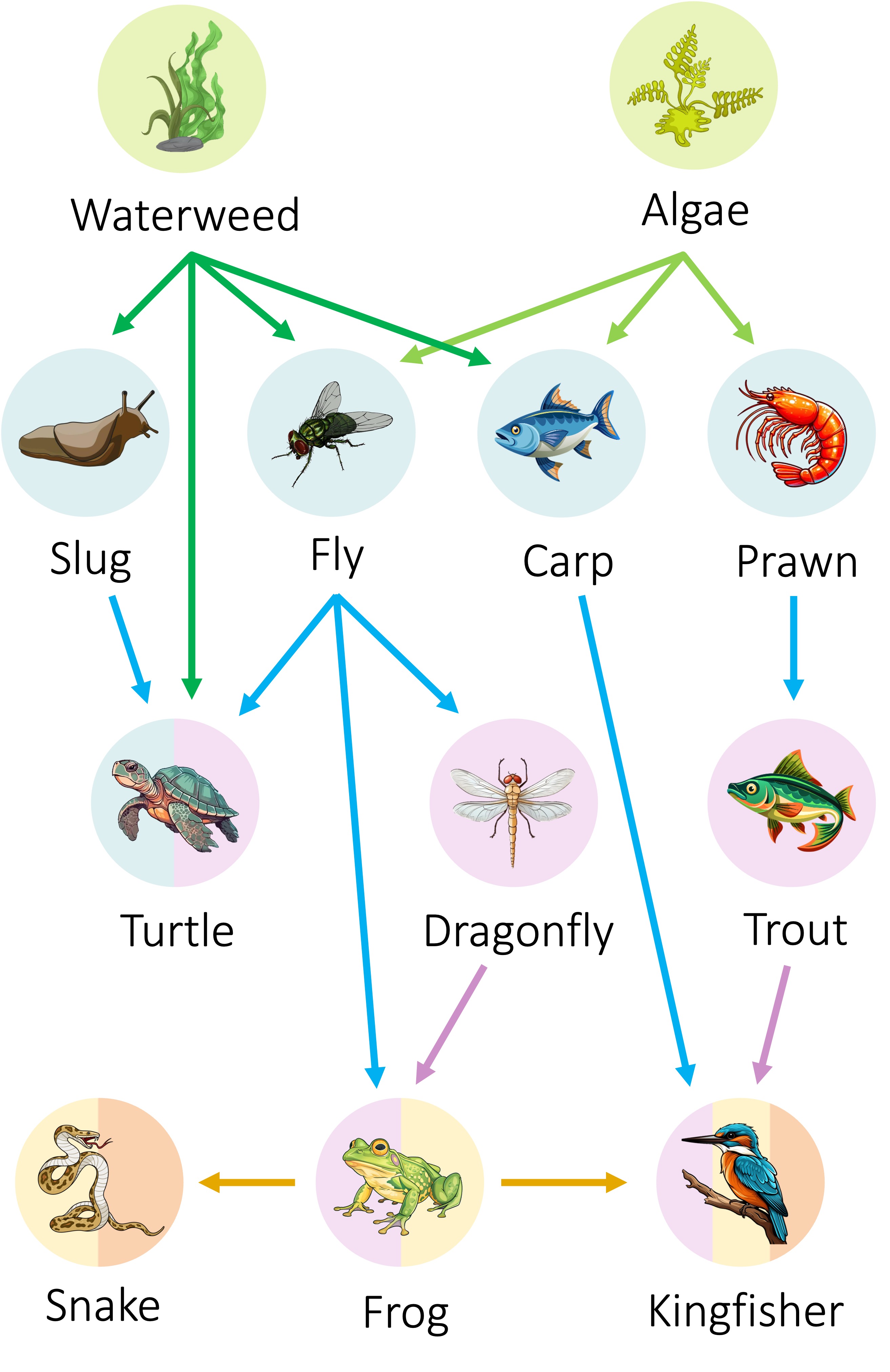 energy%20flow1%20mobile