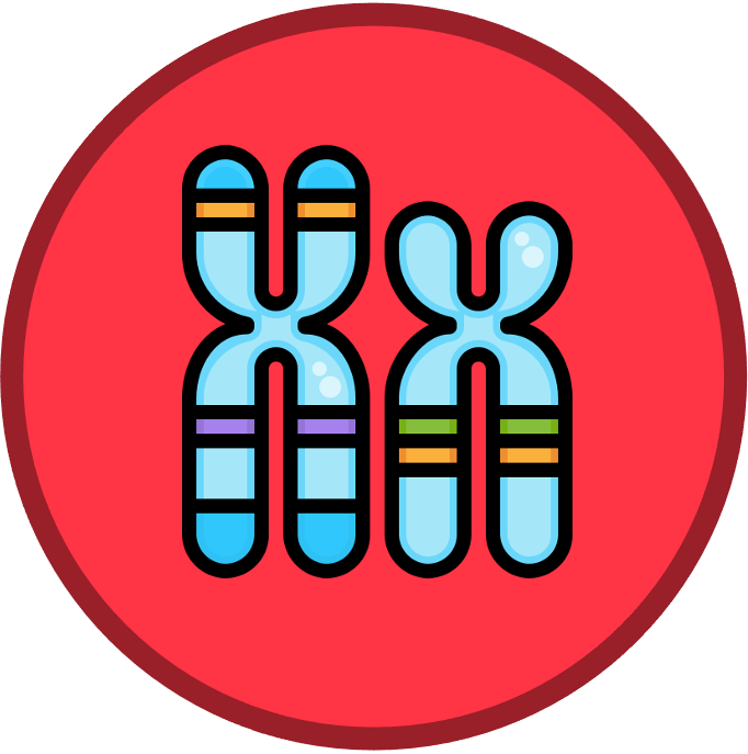 Membrane%20Transport
