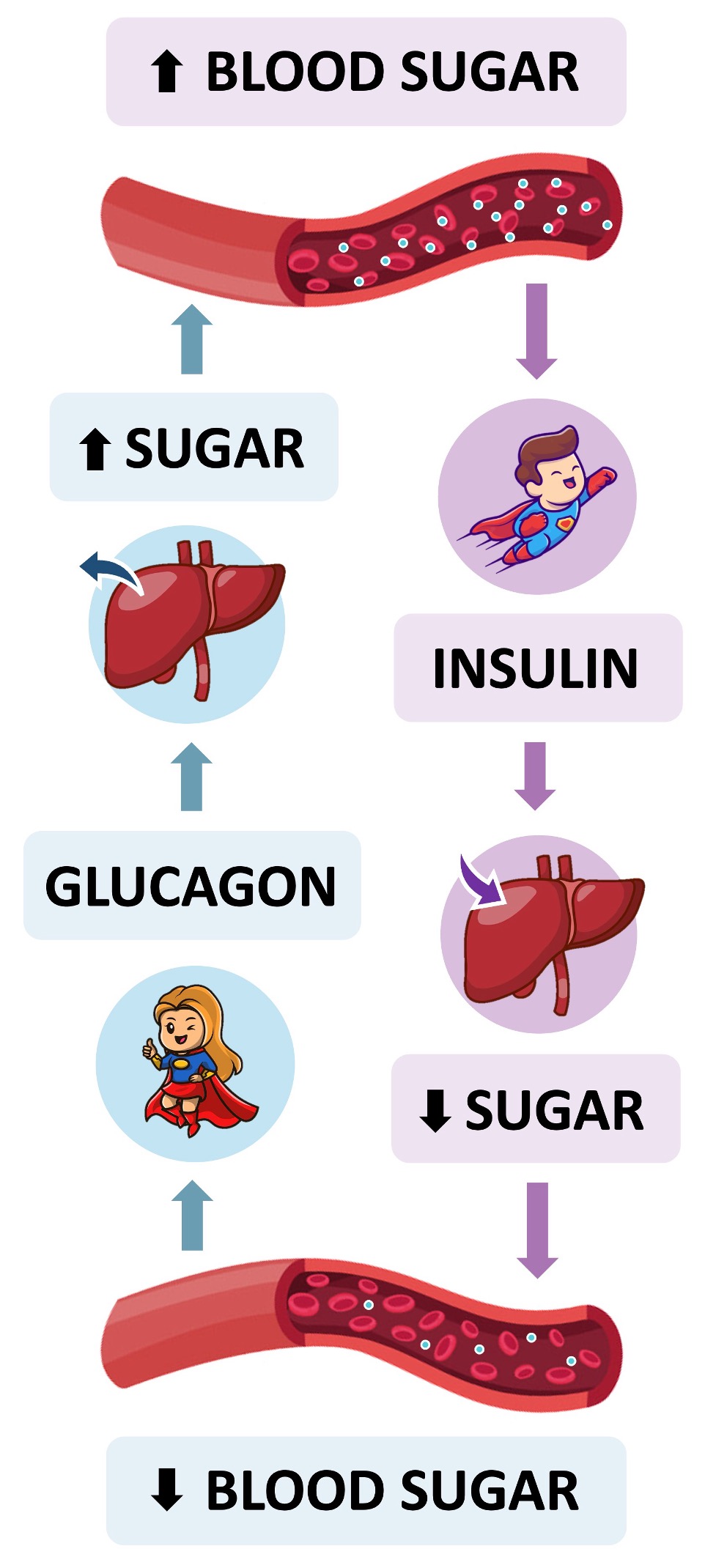 stimulus response%20mobile