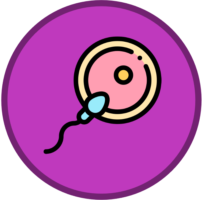 Membrane%20Transport