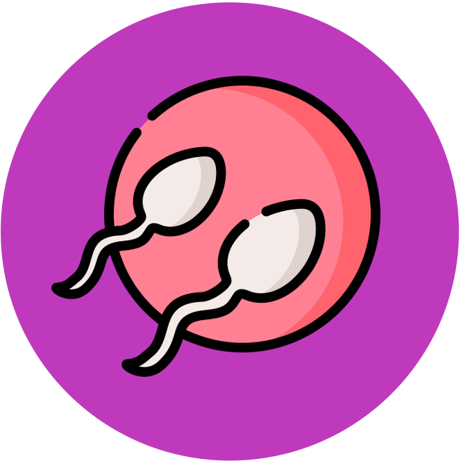 Membrane%20Transport