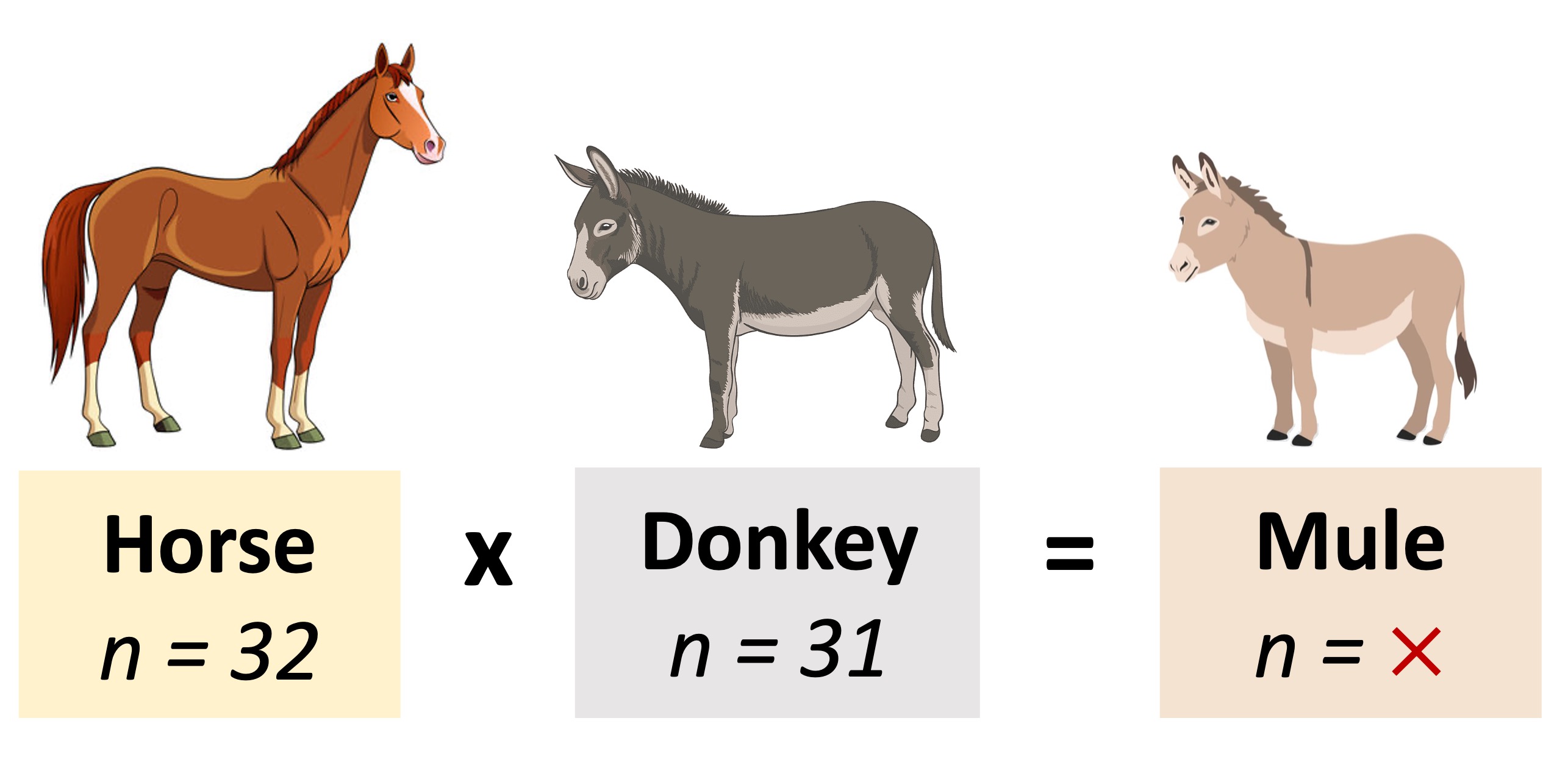 hybrid%20species%20mobile