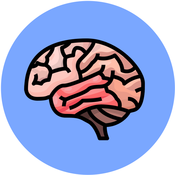 introduction%20to%20cells