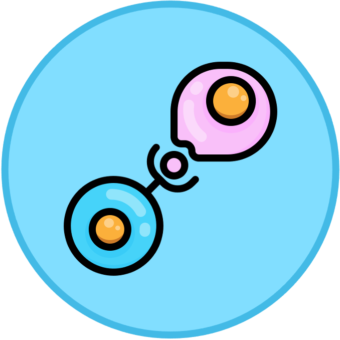 Membrane%20Structure