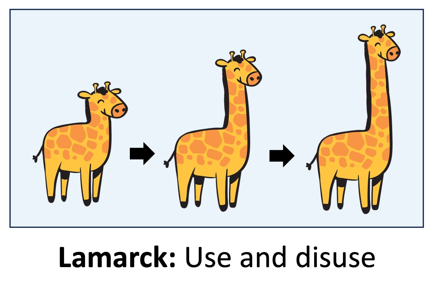 lamarck%20mobile