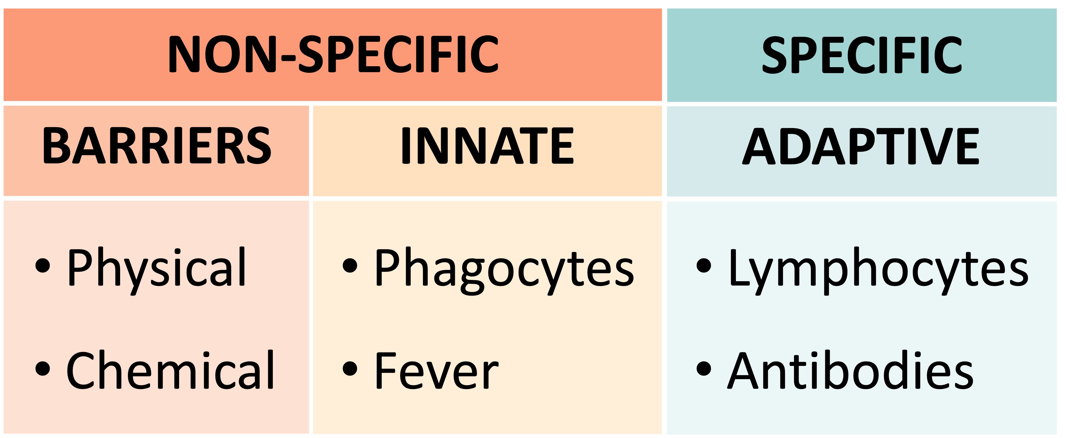 lines%20of%20defence%20ipad