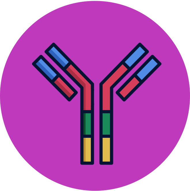 Membrane%20Structure
