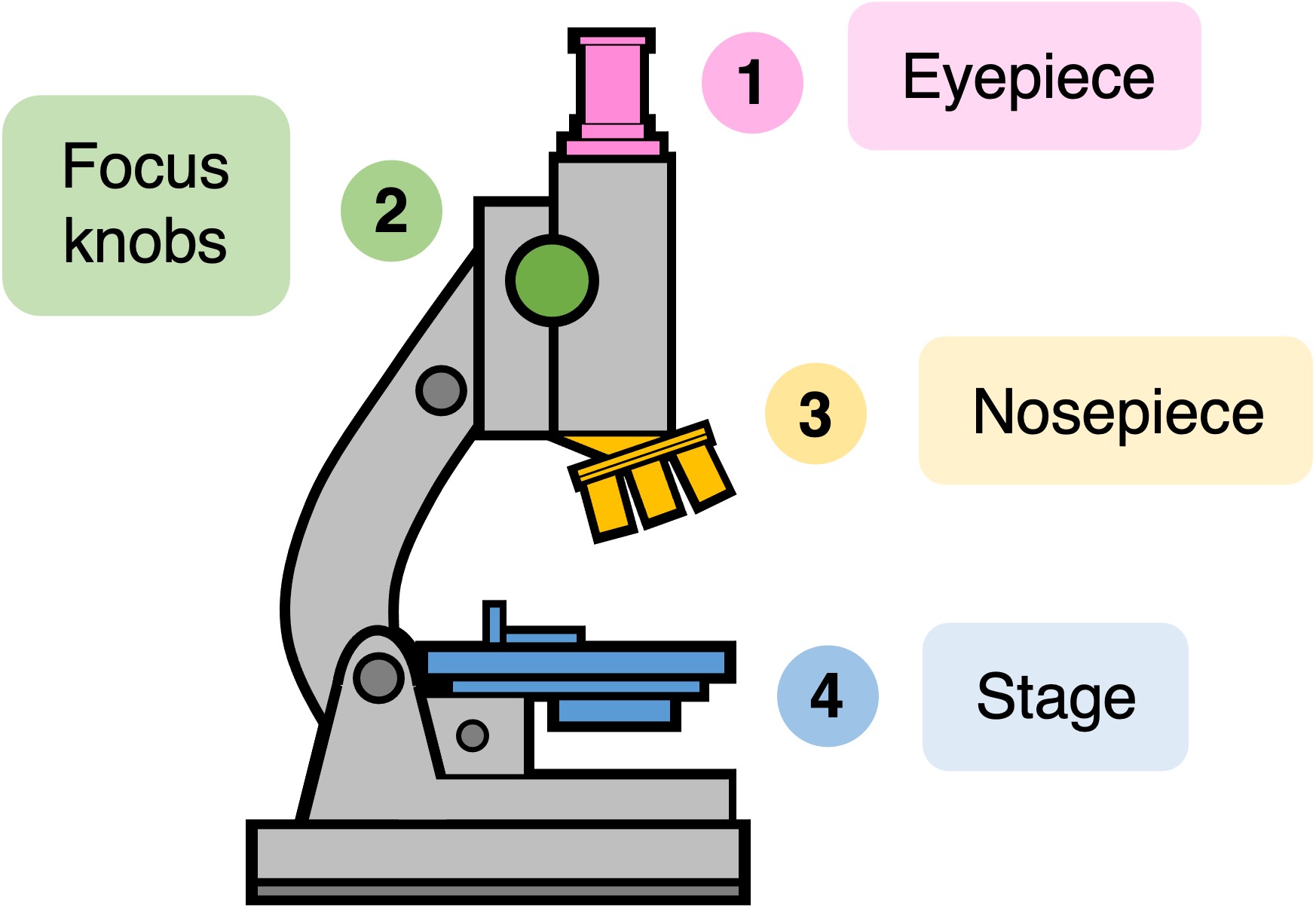 light%20microscopy%20ipad