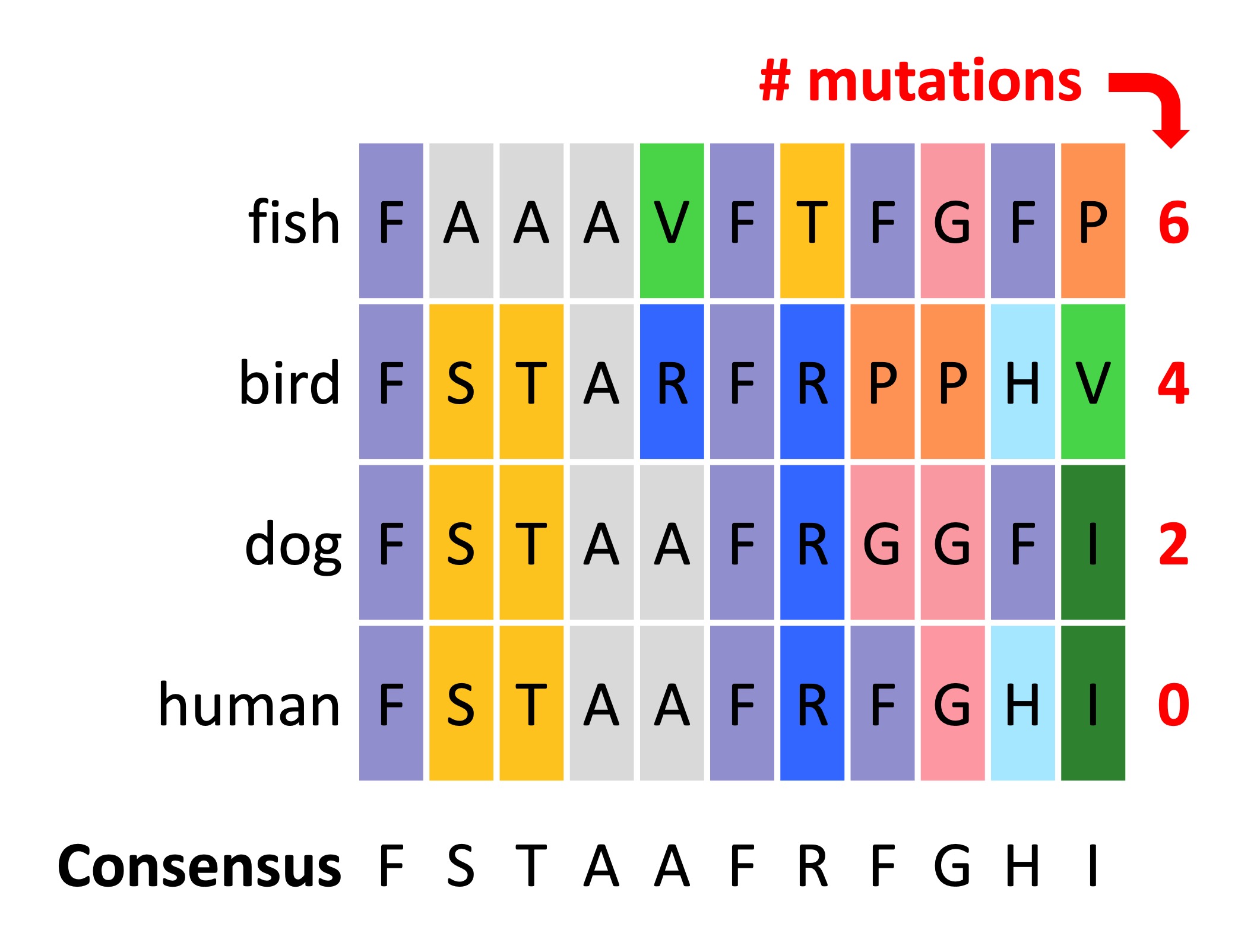 species%20diversity1