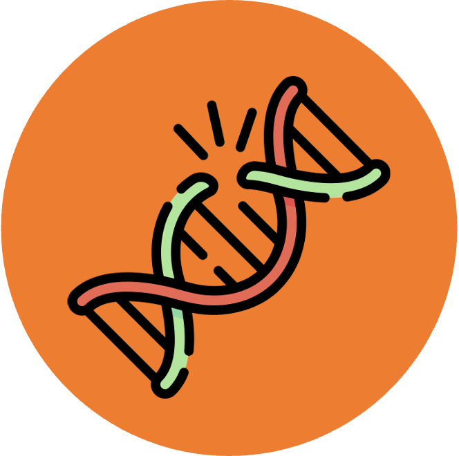 Membrane%20Transport