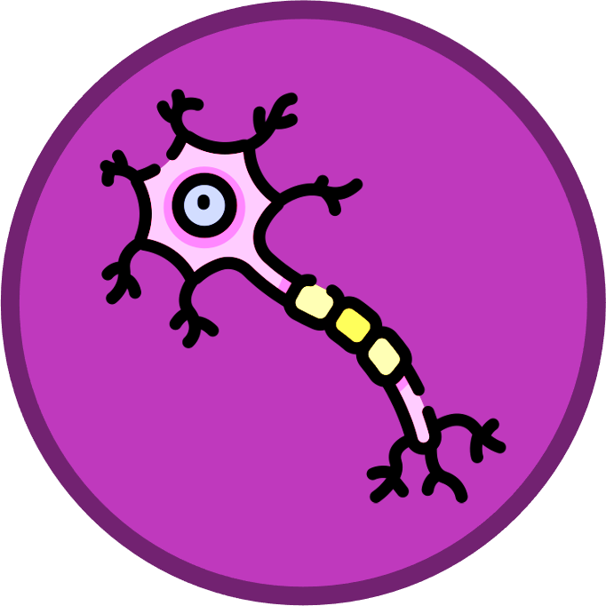 Membrane%20Transport