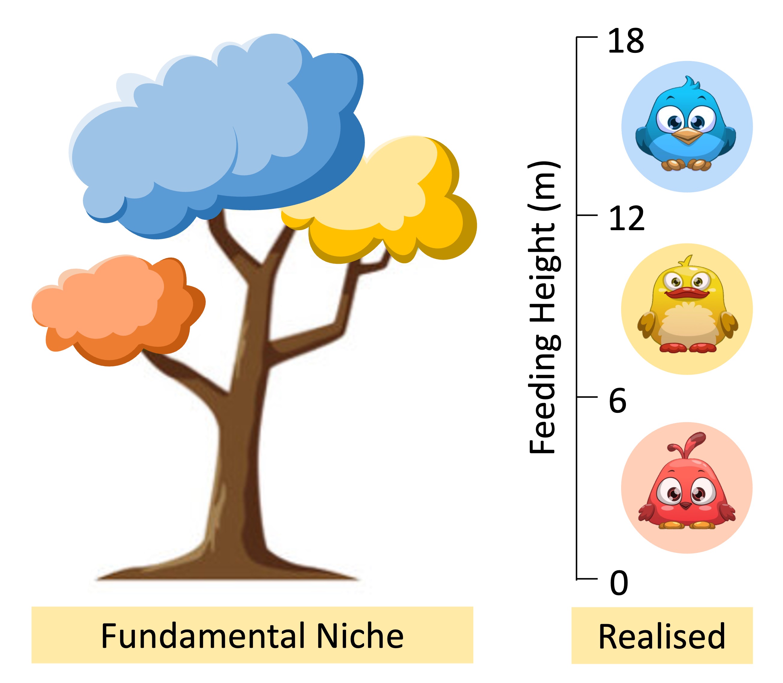 niche%20type1%20mobile