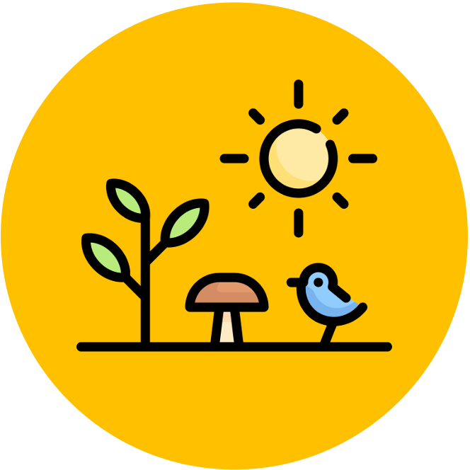 introduction%20to%20cells