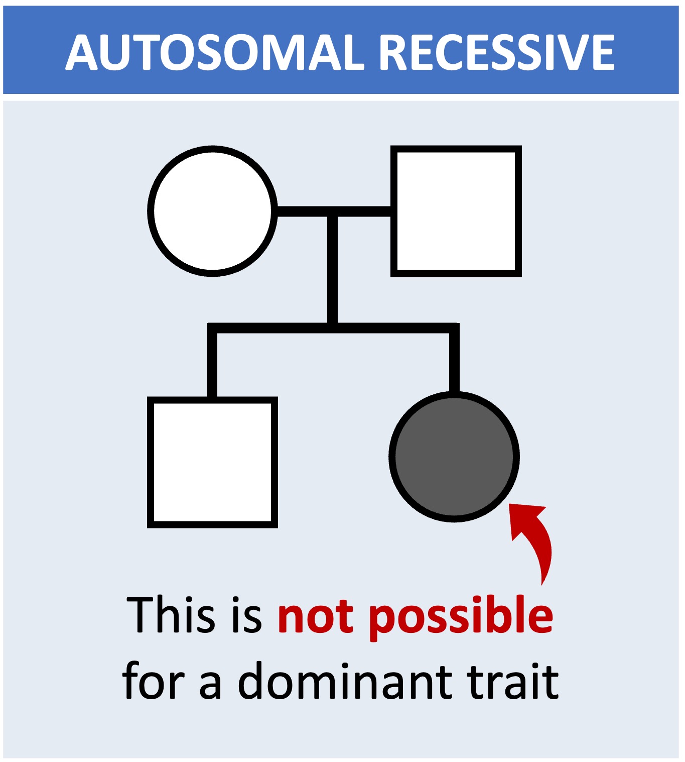 pedigree%20recessive