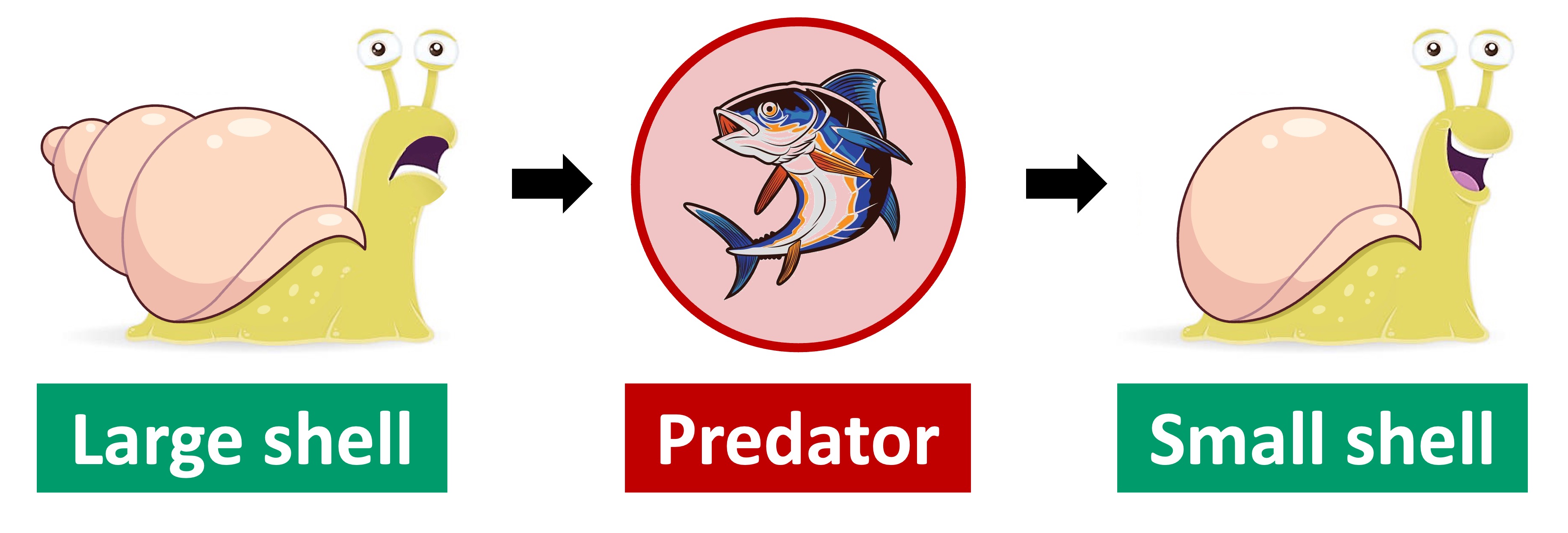 phenotypic%20plasticity%20ipad