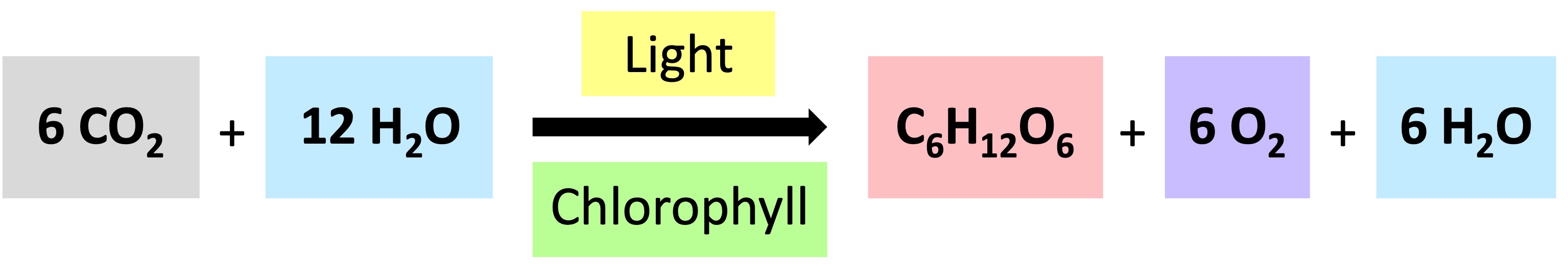 photo%20equation%20ipad