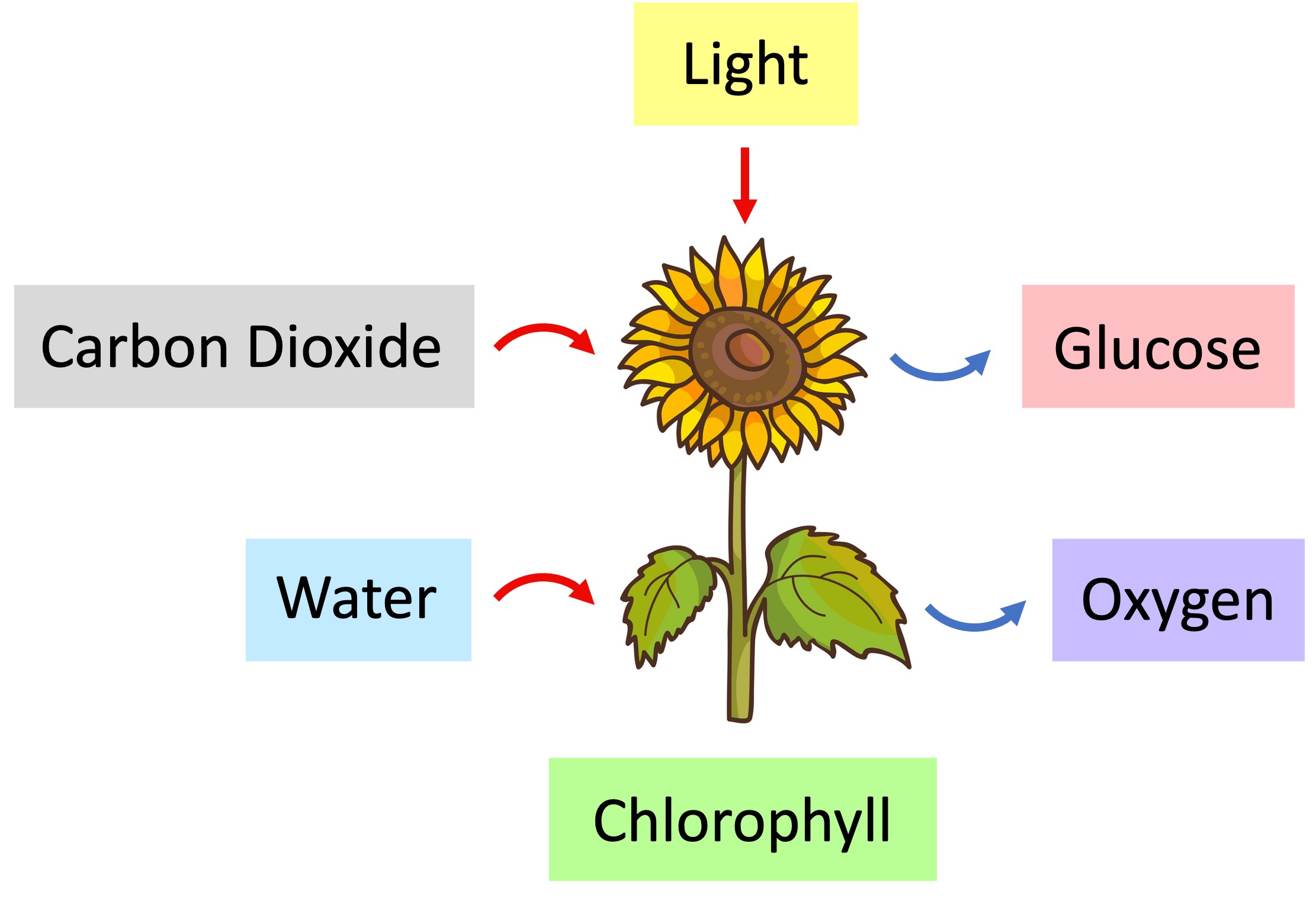 photo%20equation%20mobile